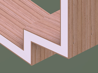 Axo_texture_zoom.png