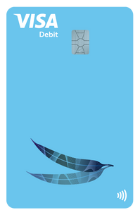 VISA DEBIT.png