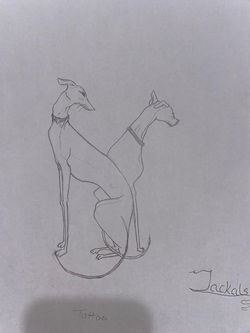 jackal tattoo