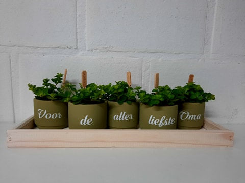 Thumbnail: Bloempotjes set met een persoonlijke tekst!