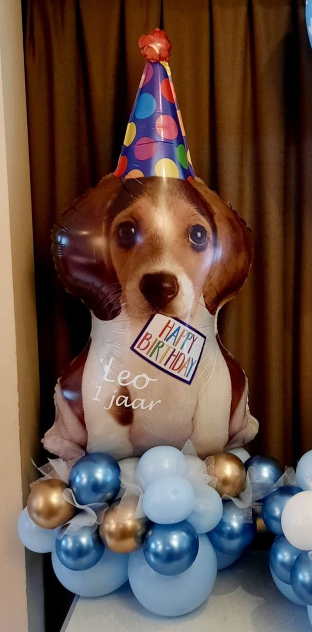 Thumbnail: Themastuk met folieballon naar eigen keuze.