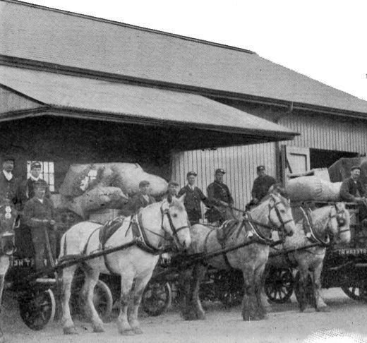 carts and horses