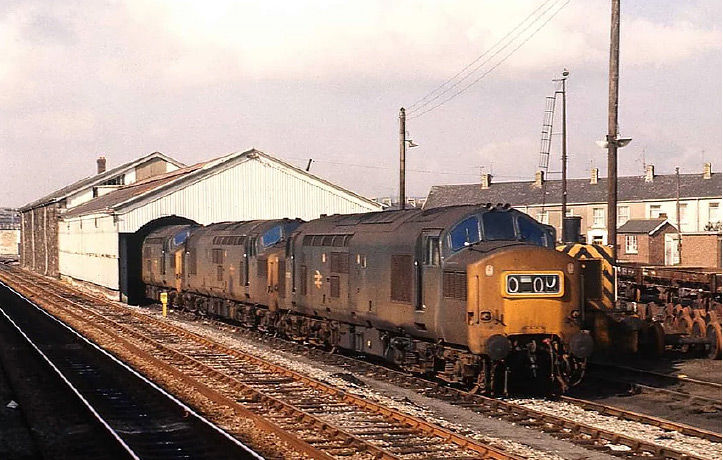 Train coming in to shed