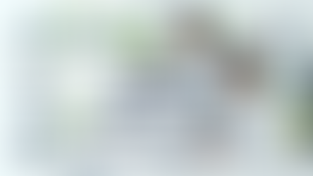 中小企業の福利厚生導入を解説!充実させるメリットや事例を紹介