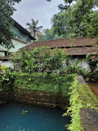 Colourful streets of Goa showcasing traditional Goan houses, pastel walls, and everyday street life