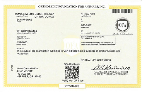 OFA knees certif.jpg