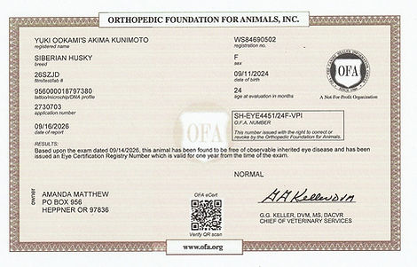 Akima eye 2026 certif.jpg