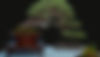20250526_02.heroOpt.jpg