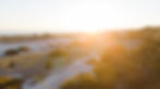 fall cape cod wedding wychmere beach club photographer and videographer