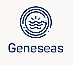 Capture d’écran 2025-07-21 à 19.04.55.png