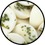 Thumbnail: Wild Mint