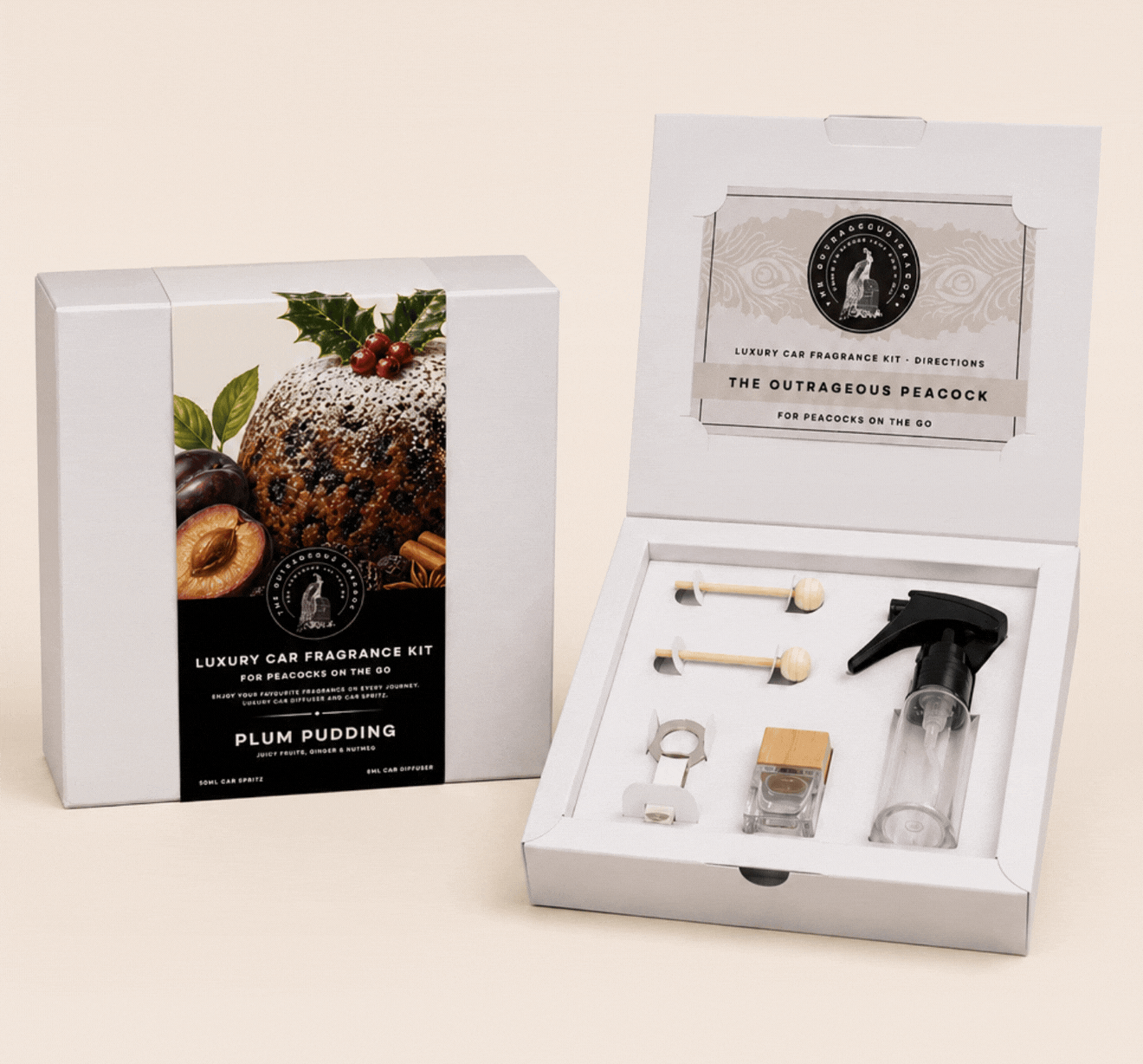 Car Kit Newsletter.gif