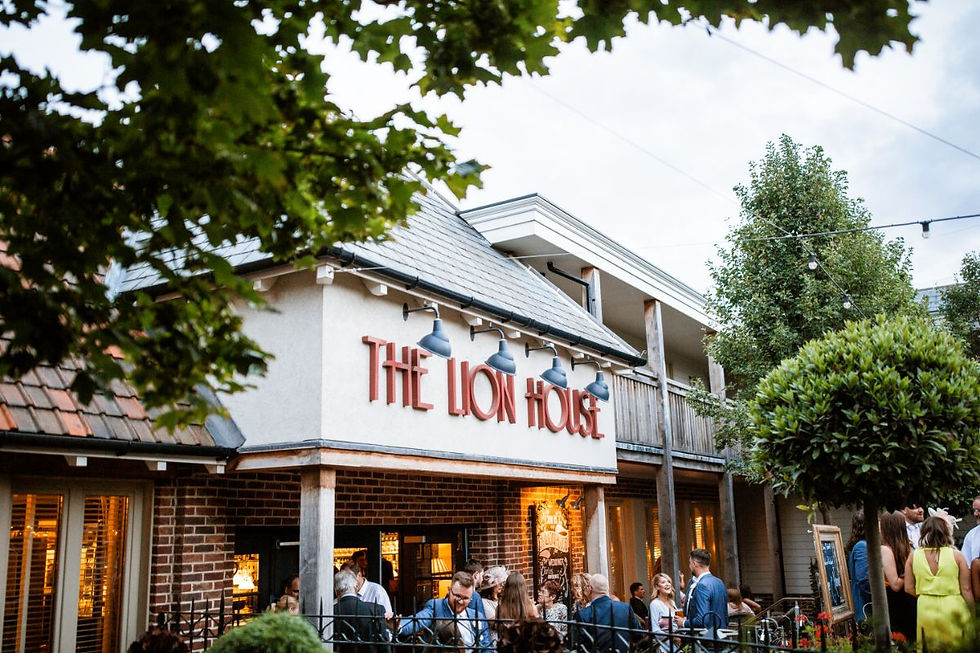 The Lion