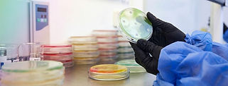 Fotografía de CCBIO, expertos en consultoría científica y biotecnología.