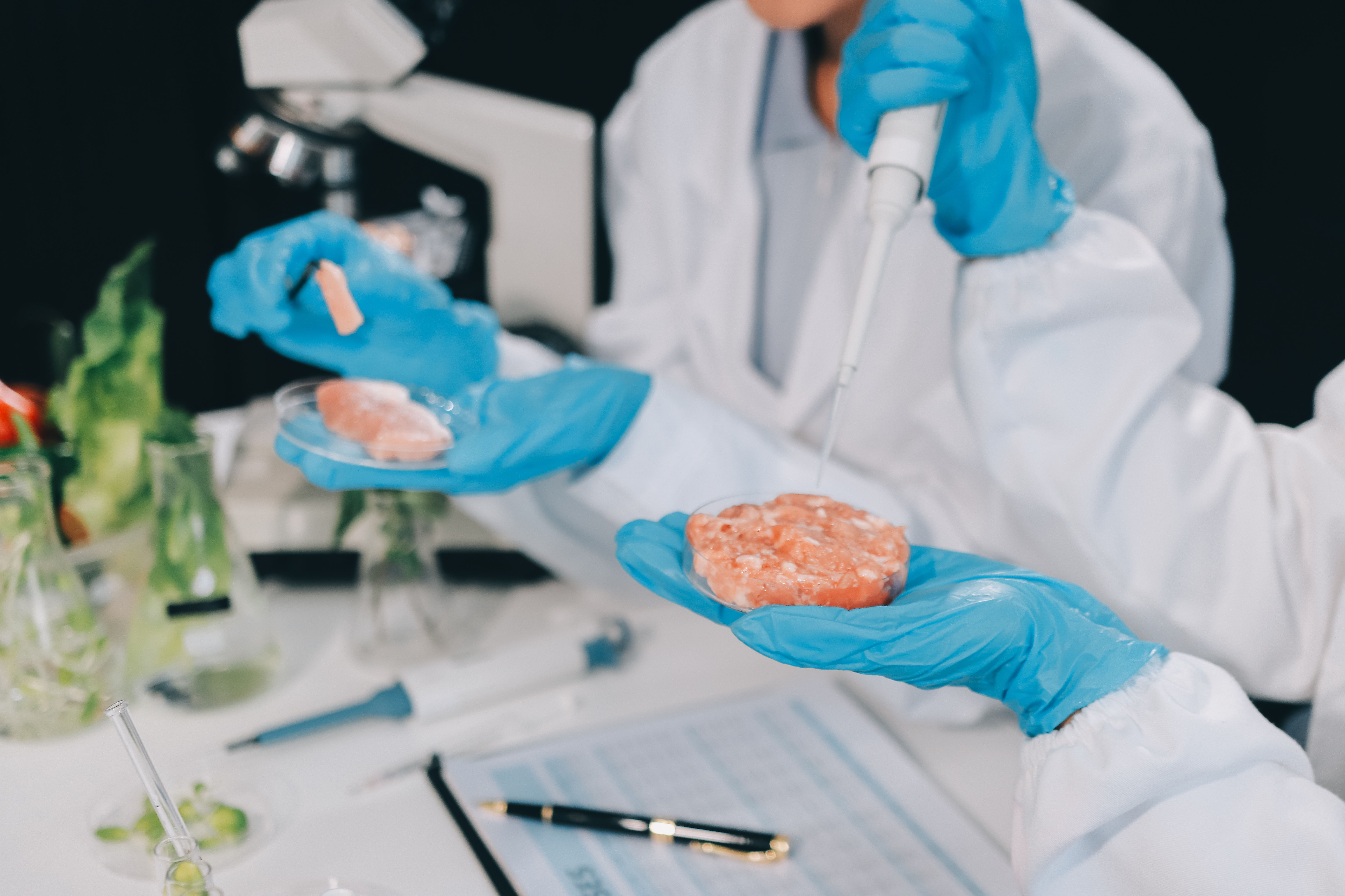 Bioingredientes e innovación alimentaria