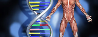 Fotografía de CCBIO, expertos en consultoría científica y biotecnología.