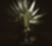 AN-fragment#1_small.png