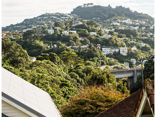 Living with Aplis – Poll Edition