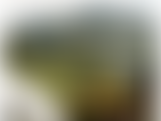 Living with Aplis – Poll Edition