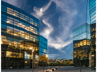 Stay Ahead with Office Updates