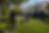 fecd96ce-5651-418e-9b19-8090dbc44d07.png