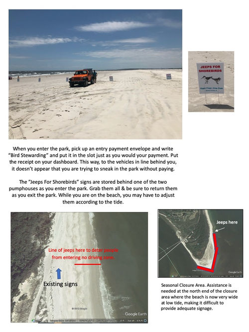 Shorebirds Info 2 copy.jpg
