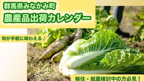 移住・就農検討中の方必見!〜旬が手軽に味わえる♪群馬県みなかみ町・農産品出荷カレンダー〜