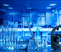 Screenshot 2024-11-04 at 3.03.06 AM.png