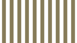 White Digitalism Basic Simple Presentation.png