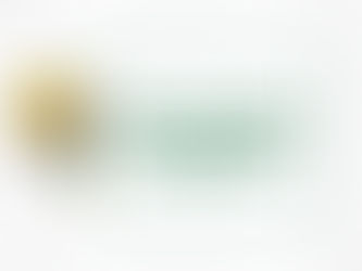 NOVO CENTRO DE CUSTO