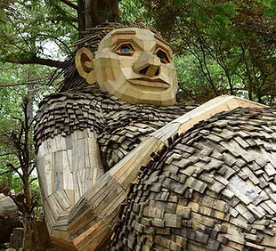 Forest Giant-min (1).jpeg