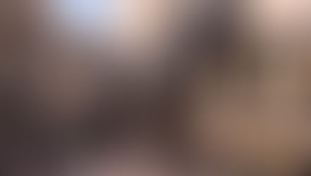 Does the Trojan Horse fit in?