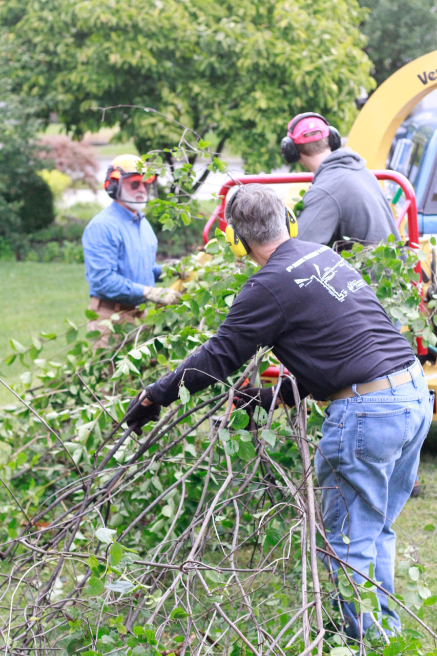 Last Import - 70 of 322.jpg