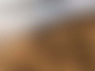 Gleðilegt sumar og takk fyrir veturinn.