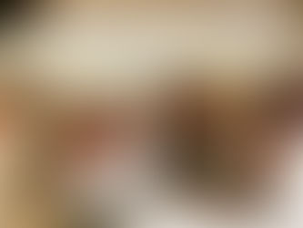 Af lúsmýi og öðrum skepnum :)