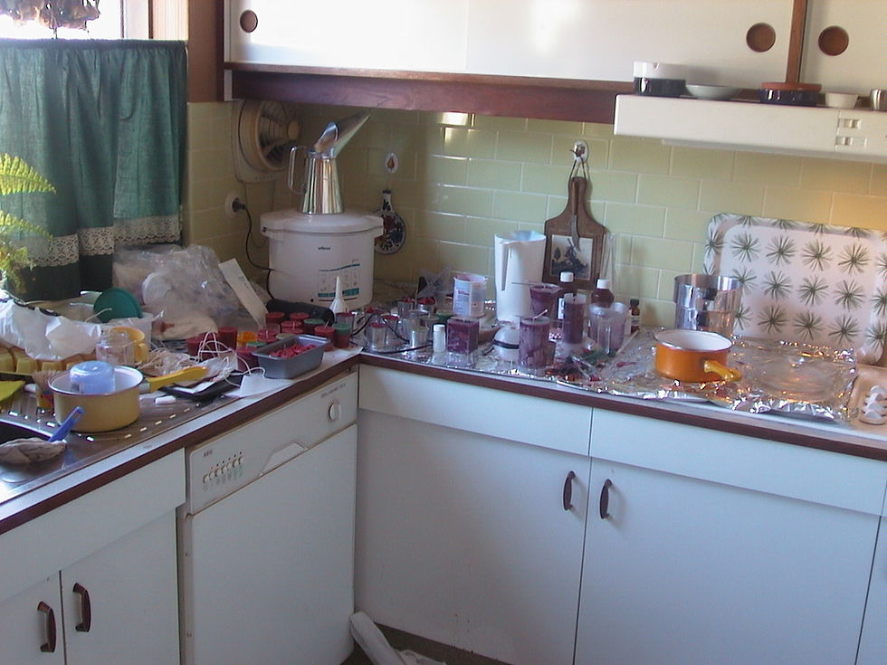 ilmkerti made in kitchen my first year 1999