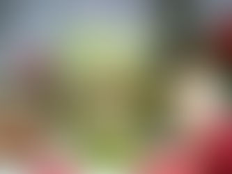 Jólin nálgast óðfluga...