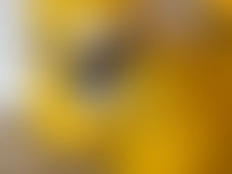 Bolludagur og fleiri skemmtilegir dagar.....