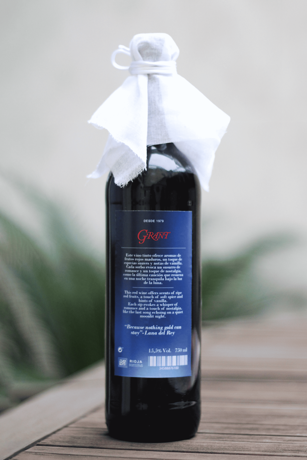 IMG_5083 (1) (1) (2) - copia.png