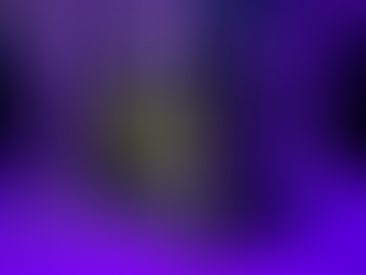 The Old Bench Photo Booth at Syon House in London