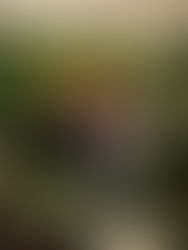 Guest getting stuck into the Photo Booth