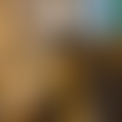 Selfie pod Photo Booth at Merley House, Dorset