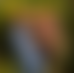 Floral Photo Booth hire Hampshire