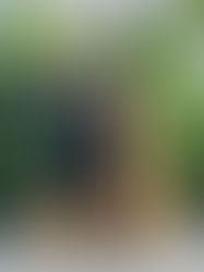 Introducing The Fotoautomat, A Retro Inspired Photo Booth