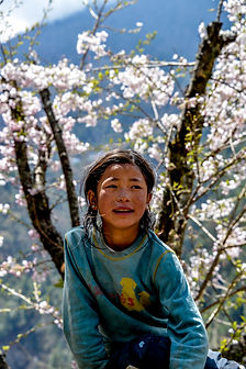 Nepal wix (66 of 85).jpg