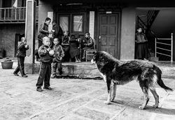 Nepal wix-13