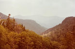 IMG_8591 (1).jpeg