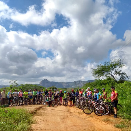 Maior mandacaru do Brasil fica na zona rural de Quixadá e continua crescendo!