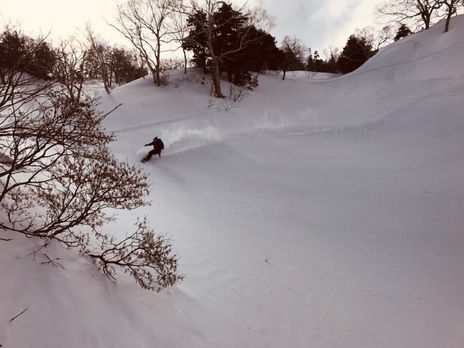 今日も日影狙い