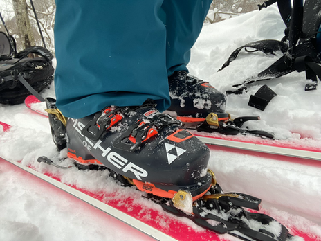 Fischer Ski Boots